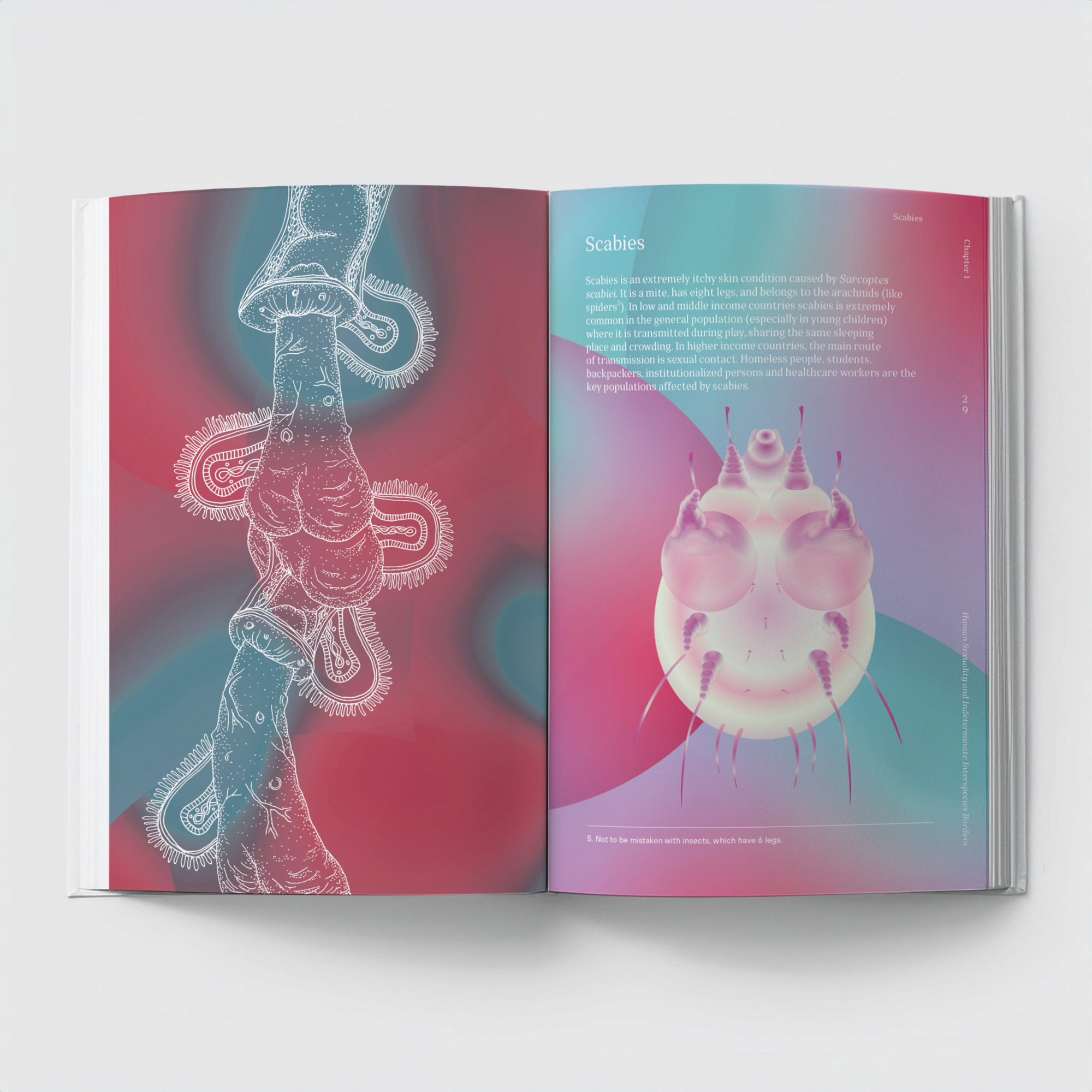 art Book Atlas of Queer Anatomy