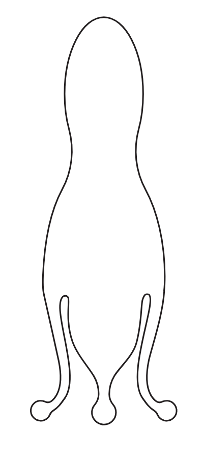 penis vibrator